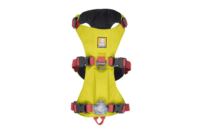 Ruffwear Flagline Dog Harness in Lichen Green-7